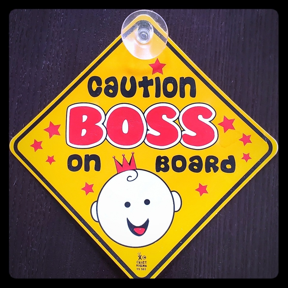 Car cute for baby sign